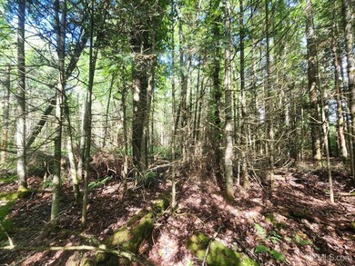 3.6-acre lot with over 800 feet of frontage on Wildwood Lake! A - photo 19