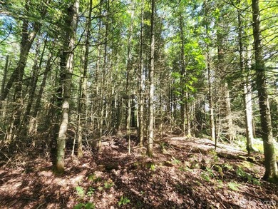 3.6-acre lot with over 800 feet of frontage on Wildwood Lake! A - photo 20
