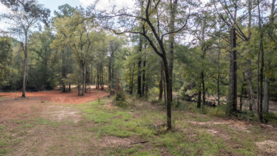 WATERFRONT - Big Cypress River - 1.15 Acres - photo 7