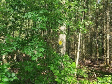 3.6-acre lot with over 800 feet of frontage on Wildwood Lake! A - photo 21
