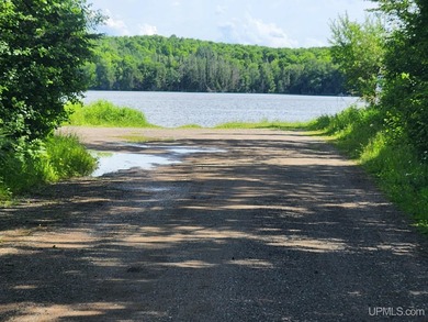 3.6-acre lot with over 800 feet of frontage on Wildwood Lake! A - photo 23