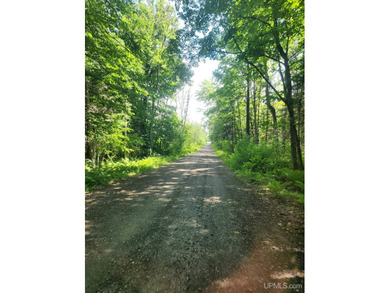 3.6-acre lot with over 800 feet of frontage on Wildwood Lake! A - photo 24