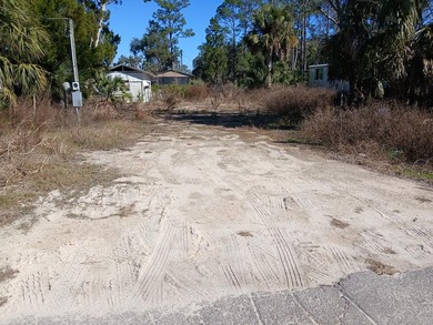 Suwannee River Lot For Sale in Old Town Florida