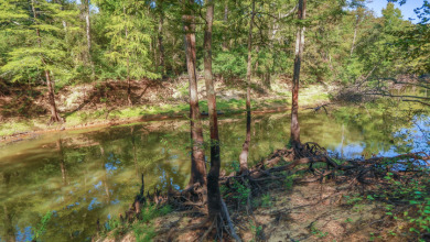 WATERFRONT - Big Cypress River - 1.15 Acres - photo 30