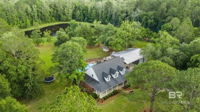 (private lake, pond, coastal) Home For Sale in Robertsdale Alabama