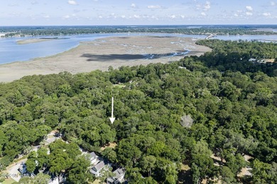 Nestled beneath a canopy of majestic live oaks, this expansive 2 - photo 5