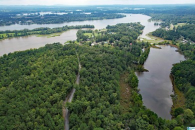 Logan Martin Lake Lot For Sale in Riverside Alabama