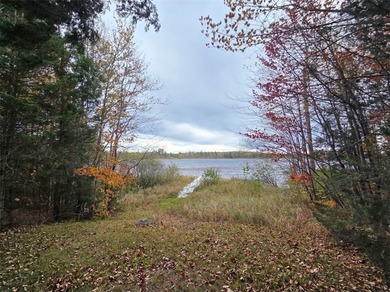 Lake Acreage For Sale in Mellen, Wisconsin