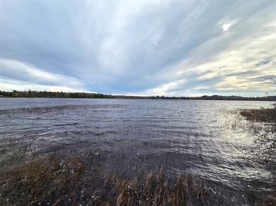 Northern and Walleye are common in beautiful 135-acre Meder Lake - photo 3