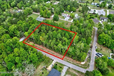 Just under 3/4 acre in Waveland-minutes to Old Town, beaches - photo 15