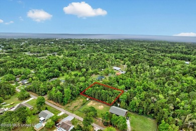 Just under 3/4 acre in Waveland-minutes to Old Town, beaches - photo 21