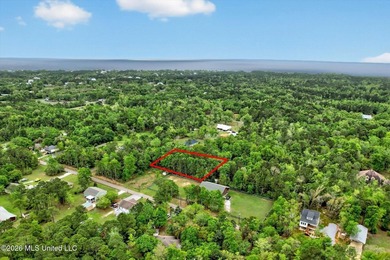 Just under 3/4 acre in Waveland-minutes to Old Town, beaches - photo 23