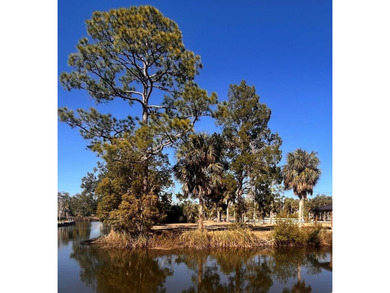 Suwannee River Lot For Sale in Suwannee Florida