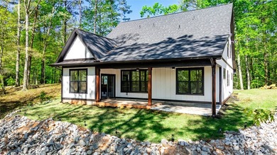Some of the best spots on Lake Hartwell don't come with a dock - - photo 38
