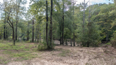 WATERFRONT - Big Cypress River - 1.15 Acres - photo 6