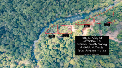 WATERFRONT - Big Cypress River - 1.15 Acres - photo 20