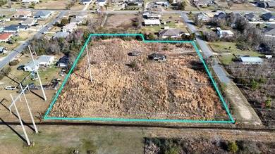 Vacant residential parcel located at the end of a dead-end road - photo 4