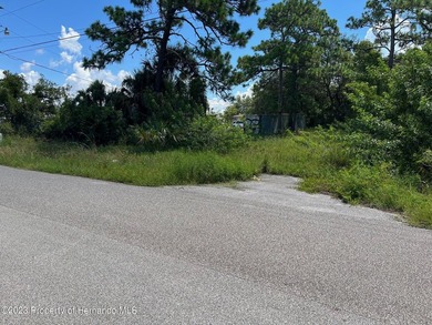 Rare opportunity to own an A-C Agricultural zoned property with - photo 11
