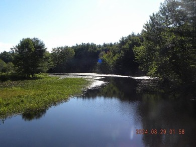 Here is your waterfront oasis you have been looking for. Over - photo 13