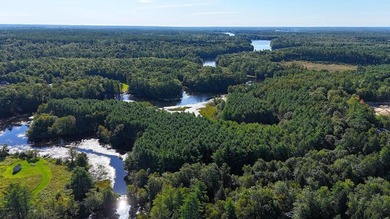 Here is your waterfront oasis you have been looking for. Over - photo 14