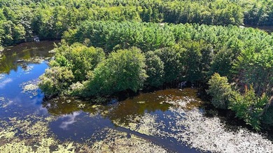 Here is your waterfront oasis you have been looking for. Over - photo 15