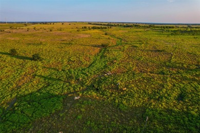 Welcome to the DD Ranch! Nestled in the heart of Bosque County - photo 36