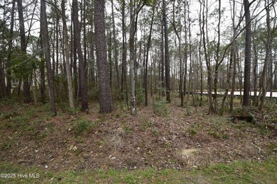 Neuse River Lot For Sale in New Bern North Carolina