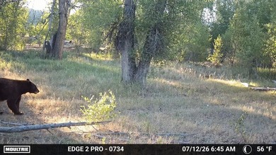 Discover 110 acres along the scenic Brazos River with @3,000 - photo 6