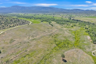 Discover 110 acres along the scenic Brazos River with @3,000 - photo 7