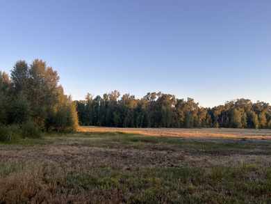 Discover 110 acres along the scenic Brazos River with @3,000 - photo 8
