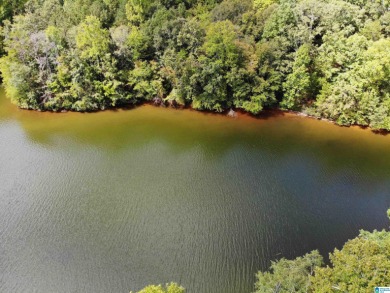 Lake Wedowee / RL Harris Reservoir Acreage For Sale in Wedowee Alabama