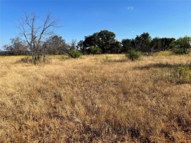 Lake Lot For Sale in Brownwood, Texas