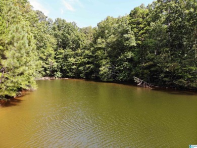 EXCELLENT BUILDING OPPORTUNITY ON THIS 3.67 ACRE WATERFRONT LOT - photo 2