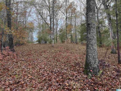 EXCELLENT BUILDING OPPORTUNITY ON THIS 3.67 ACRE WATERFRONT LOT - photo 5