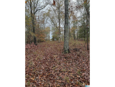 EXCELLENT BUILDING OPPORTUNITY ON THIS 3.67 ACRE WATERFRONT LOT - photo 6