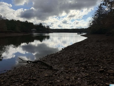 EXCELLENT BUILDING OPPORTUNITY ON THIS 3.67 ACRE WATERFRONT LOT - photo 7