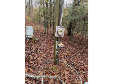 EXCELLENT BUILDING OPPORTUNITY ON THIS 3.67 ACRE WATERFRONT LOT - photo 8
