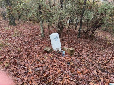 EXCELLENT BUILDING OPPORTUNITY ON THIS 3.67 ACRE WATERFRONT LOT - photo 9