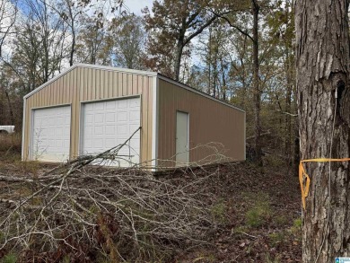 EXCELLENT BUILDING OPPORTUNITY ON THIS 3.67 ACRE WATERFRONT LOT - photo 10