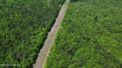 255+/- Acres | Hunting & Recreation Tract | Braxton, MS If - photo 11