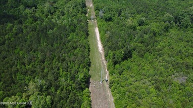 255+/- Acres | Hunting & Recreation Tract | Braxton, MS If - photo 12