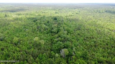 255+/- Acres | Hunting & Recreation Tract | Braxton, MS If - photo 13