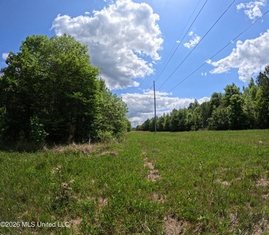255+/- Acres | Hunting & Recreation Tract | Braxton, MS If - photo 16
