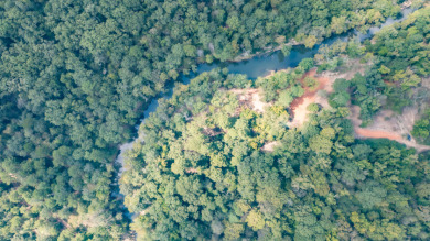 WATERFRONT - Big Cypress River - 1.15 Acres - photo 21