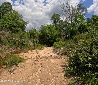 255+/- Acres | Hunting & Recreation Tract | Braxton, MS If - photo 18