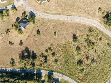 This .2 acre cleared lot in White Bluff near Lake Whitney is - photo 18