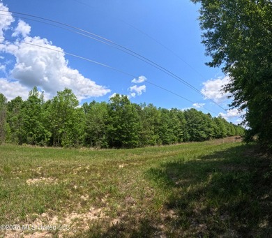 255+/- Acres | Hunting & Recreation Tract | Braxton, MS If - photo 19
