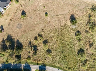 This .2 acre cleared lot in White Bluff near Lake Whitney is - photo 19