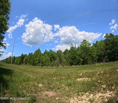 255+/- Acres | Hunting & Recreation Tract | Braxton, MS If - photo 20