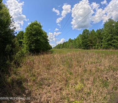 255+/- Acres | Hunting & Recreation Tract | Braxton, MS If - photo 21